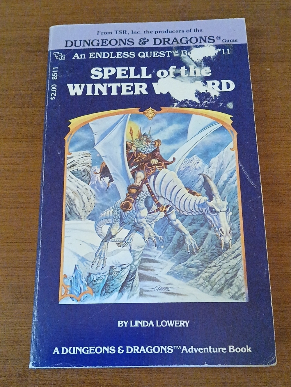 Dungeons & Dragons - Endless Quest #11: Spell Of The Winter Wizard (1983) PB 1st
